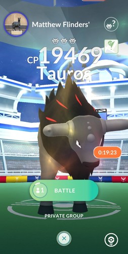Pokémon blaze tauros regional - pokémon,