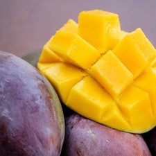 Pianta frutto tropicale - pianta, da