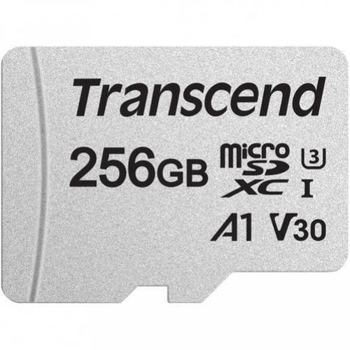 Scheda memoria 256gb - scheda, di