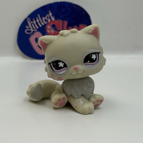 Gatto persiano 609 - persiano,
