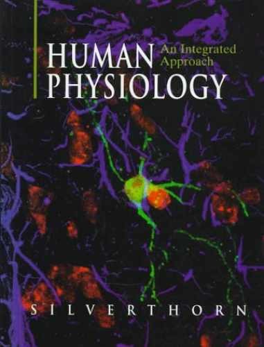 Human physiology - human, an