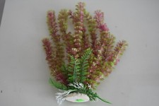 Acquario Piante Ca 25cms Verde