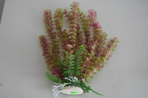 Acquario piante 25cms - acquario,