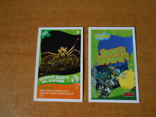 FIGURINA CARD SPONGEBOB CRAI - SERIE GROSSI BAGNANTI - N. 52 - CS.35