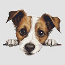 Jack Russell Terrier cane
