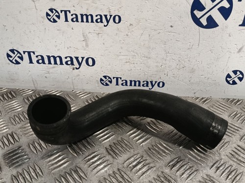 Manica 1186986 per - /,