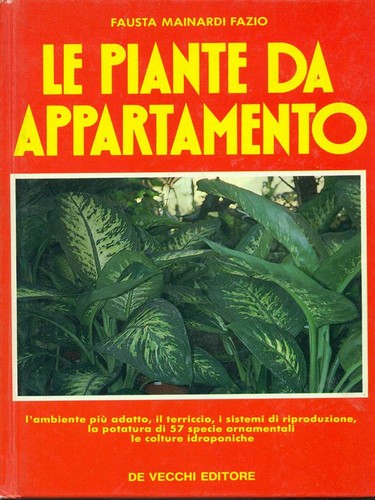 Piante appartamento - da,