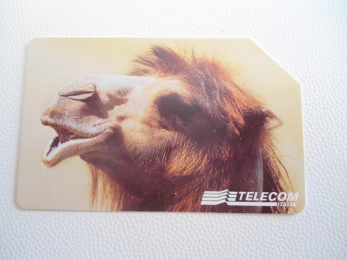 Schede telefoniche animali - telefoniche,