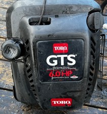 Gruppo Motore Briggs &
