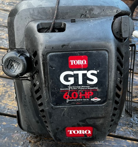 Gruppo motore briggs - gruppo, &