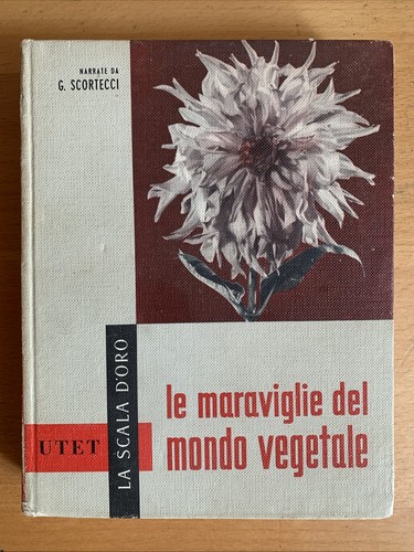 Meraviglie del mondo - meraviglie,