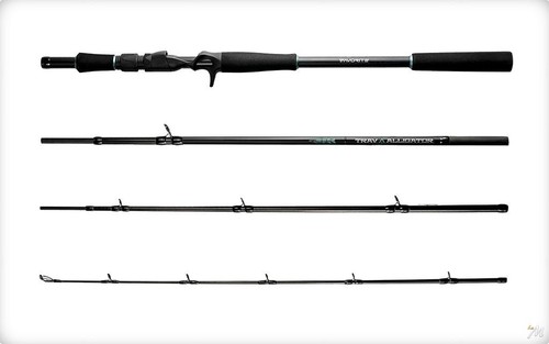 Favorite canna casting - favorite,