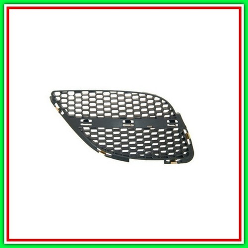 Griglia radiatore destra - griglia,