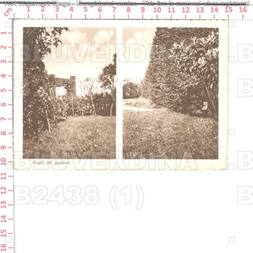 B2438 bergamo caprino - b2438,