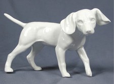 Jagdhund Terrier pointer hund