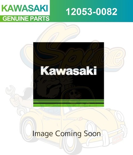 Guida catena kawasaki - catena,