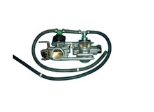 GRUPPO INIEZIONE CORPO