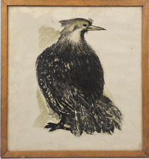 Antica Stampa Scuola del XX Secolo Volatile Vintage con Cornice da Arredamento