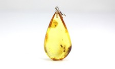 Ciondolo ambra baltica con