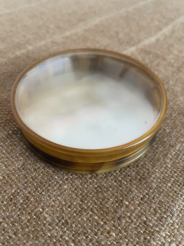 Bella scatola corno - scatola,