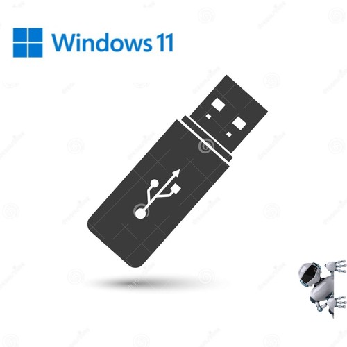 Chiavetta usb win11 - chiavetta, +