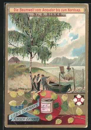 Immagine collezione - immagine, da