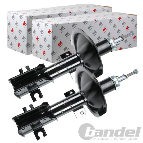 Ammortizzatore a gas - 2x,