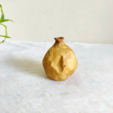 19c Vintage Primitivo Vecchio