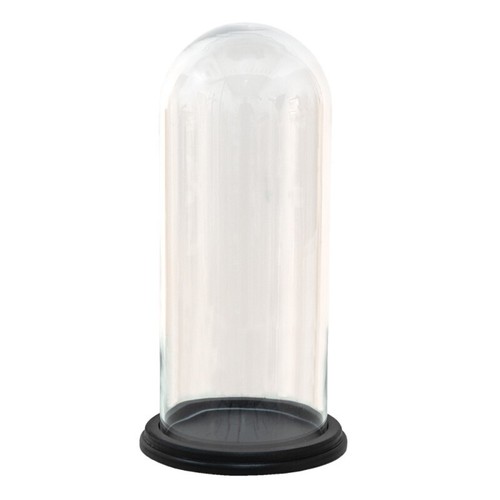 Espositore vetro cloche - espositore,