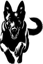 Adesivo MALINOIS - adesivo auto Malinois - sticker - contorno Malinois #86