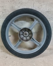 Cerchio In Lega Posteriore 4