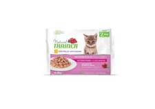 Trainer Natural Gatto KITTEN &