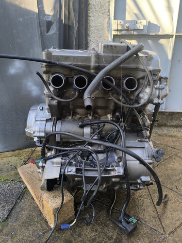 Motore honda hornet - motore,