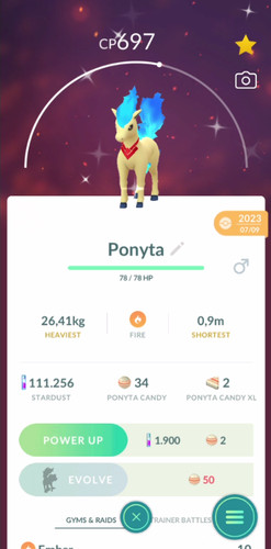 Candela ponyta lucente - candela,