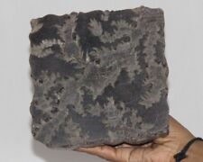 Vintage IN Legno Stampa