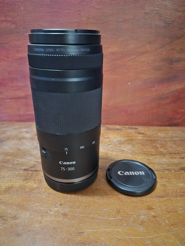 Canon 300mm 5 - rf, zoom