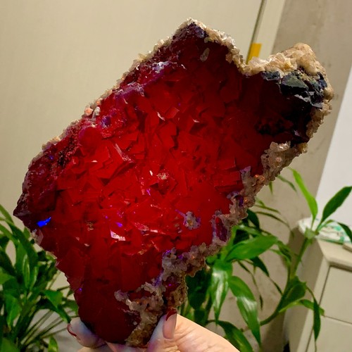 27lb natural black rose - natural,