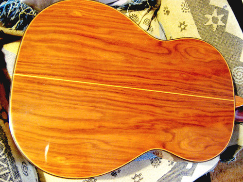 Chitarra classica giannini - chitarra,