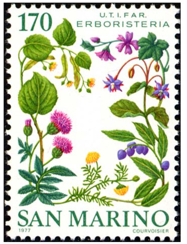 1977 san marino - -, piante