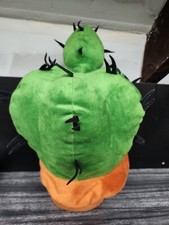 Pianta in vaso di cactus