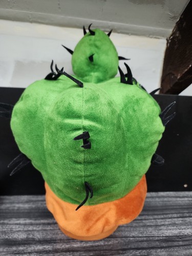 Pianta vaso cactus - pianta, di