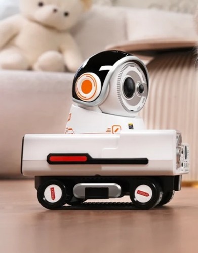 Robot surveillance camera - de,