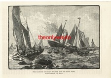 STEAM CARRIERS COLLECTING FISH