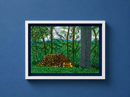David hockney ipad edizione - hockney,