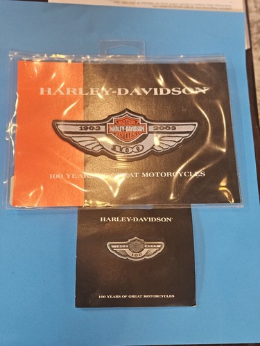 Patch 100 - 4,75, e