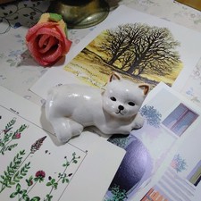 Ar 86) Gatto Gattino in