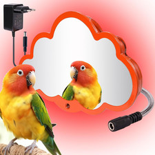 Riscaldatore Pappagalli Con