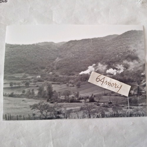Fotografia linea terni - fotografia,