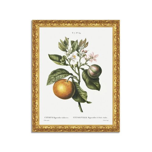 Quadro stampa tela effetto - tela,