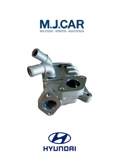 Radiatore ricircolo gas - , di